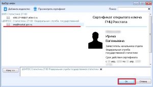 Сертификат электронного ключа Росстат